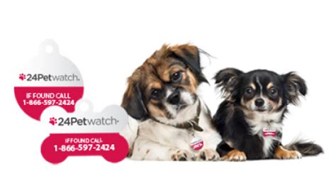 24Petwatch: Transfer of Pet Microchip Registration.